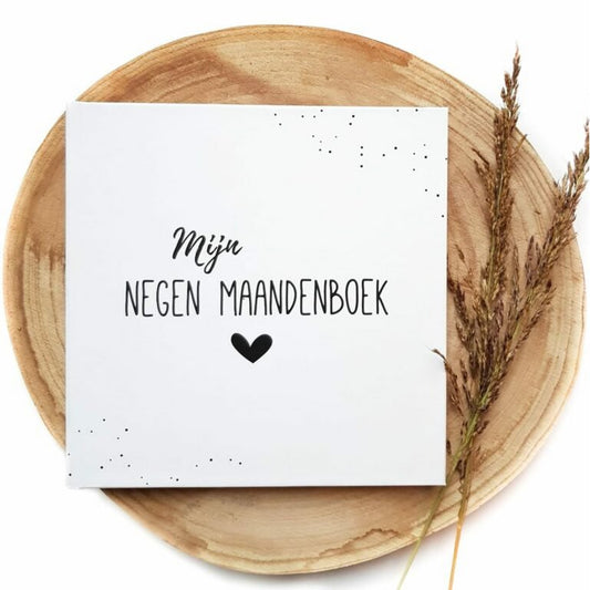 negenmaandenboek-cadeau-voor-zwangerschap